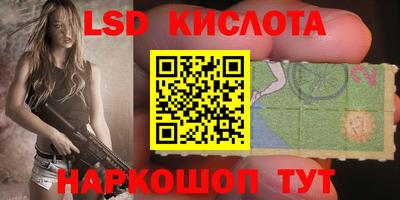 PSILOCYBIN Кинель