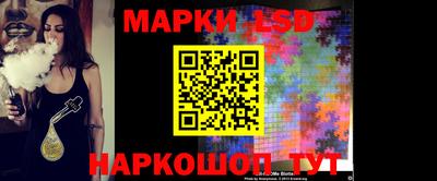 индика Кингисепп