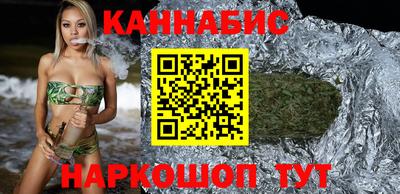 индика Кингисепп