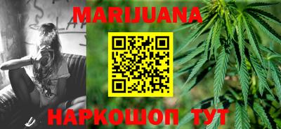 индика Кингисепп