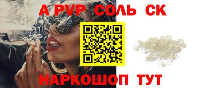 индика Кингисепп