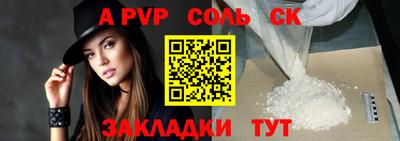 индика Кингисепп