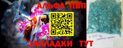 индика Кингисепп