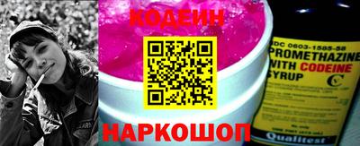 индика Кингисепп