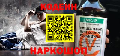 индика Кингисепп