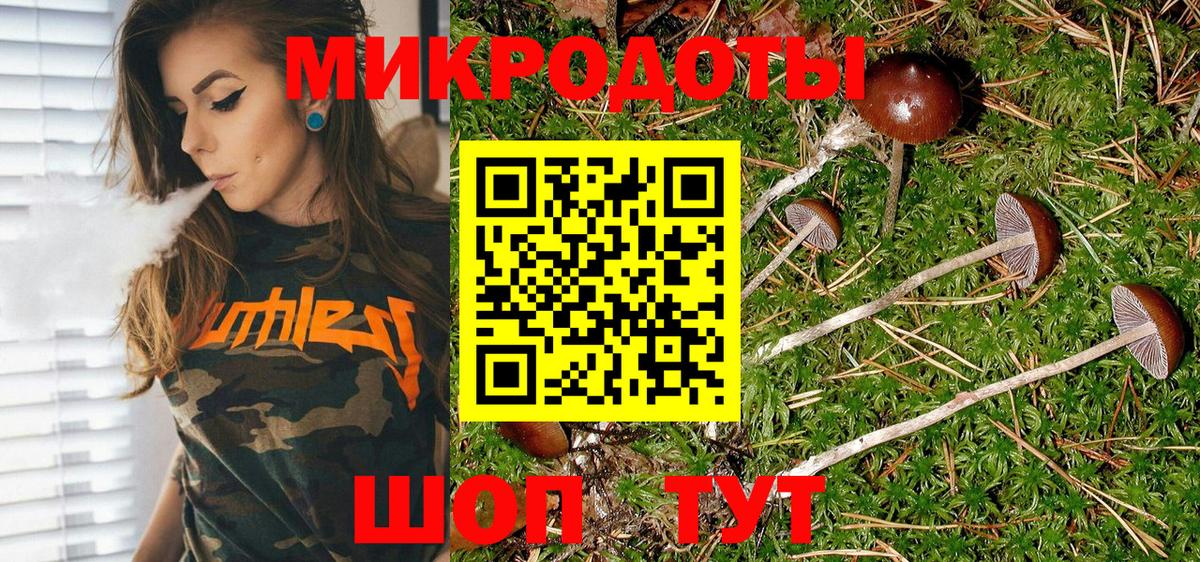 Псилоцибиновые грибы мицелий Выборг