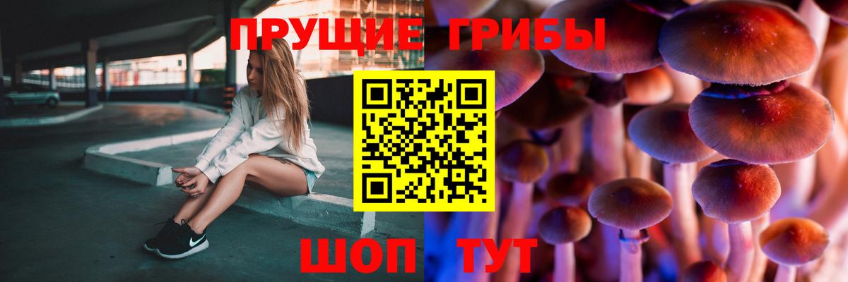 Псилоцибиновые грибы ЛСД  Вход с VPN  Выборг 